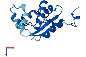 AlphaFold protein structure predicition of Human Recombinant NME2P1 Protein, UniprotID O60361