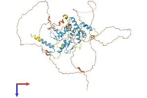 ZNF496 Protein (AA 1-587) (His tag)
