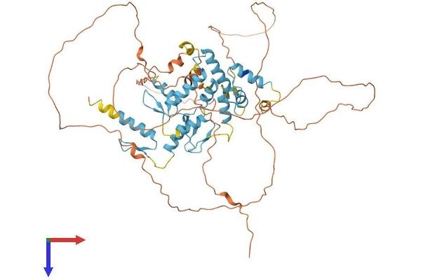 ZNF496 Protein (AA 1-587) (His tag)