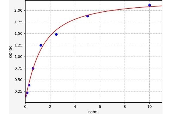 HERPUD1 ELISA Kit