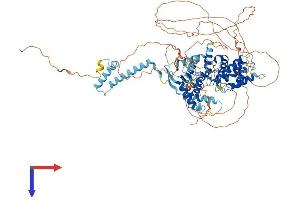 DEPDC1 Protein (AA 1-811) (His tag)