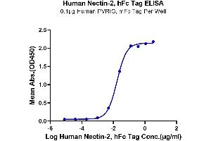ELISA image for Poliovirus Receptor-Related 2 (Herpesvirus Entry Mediator B) (PVRL2) (AA 32-360) protein (Fc Tag) (ABIN7275305)