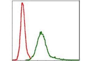 Image no. 7 for anti-Baculoviral IAP Repeat-Containing 5 (BIRC5) antibody (ABIN1501243) (Survivin Antikörper)