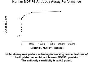 Image no. 1 for anti-Nedd4 Family Interacting Protein 1 (NDFIP1) (AA 1-116) antibody (ABIN5565940)
