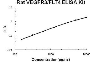 Rat VEGFR3/FLT4 PicoKine ELISA Kit standard curve