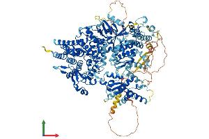 Protein Structure (PS) image for Phosphorylase Kinase, alpha 2 (PHKA2) (AA 1-1235) protein (His tag) (ABIN7564445)