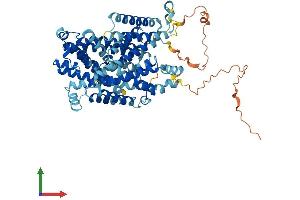 Protein Structure (PS) image for Solute Carrier Family 7 (Cationic Amino Acid Transporter, Y+ System), Member 4 (SLC7A4) (AA 1-635) protein (His tag) (ABIN7546902)