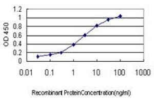 Detection limit for recombinant GST tagged RAB8A is approximately 0. (RAB8A Antikörper  (AA 108-207))