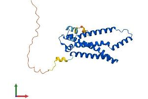 AlphaFold protein structure predicition of Human Recombinant STEAP1B Protein, UniprotID Q6NZ63
