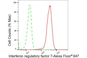 Flow cytometric analysis of Interferon regulatory factor 7 expression in C2C12 cells using Interferon regulatory factor 7 antibody (ABIN7799088), 1:2,000). (Rekombinanter IRF7 Antikörper)