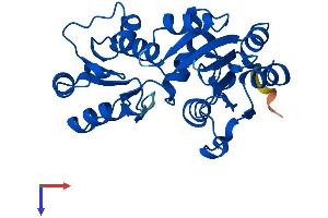 HDHD2 Protein (AA 1-259) (His tag)