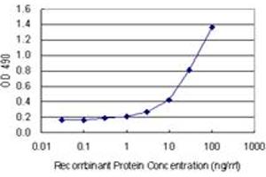 Sandwich ELISA detection sensitivity ranging from 1 ng/mL to 100 ng/mL. (IFI16 (Human) Matched Antibody Pair)