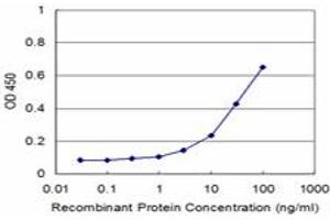 Detection limit for recombinant GST tagged TOPORS is approximately 3ng/ml as a capture antibody. (TOPORS Antikörper  (AA 98-205))