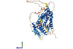 AlphaFold protein structure predicition of Human Recombinant ADCK2 Protein, UniprotID Q7Z695