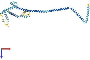 C14orf94 Protein (AA 1-363) (His tag)
