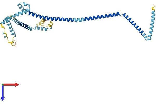 C14orf94 Protein (AA 1-363) (His tag)