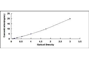Typical standard curve
