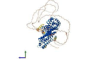 Protein Structure (PS) image for Regulatory Factor X 3 (RFX3) (AA 1-749) protein (His tag) (ABIN7555203)
