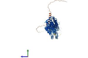 Protein Structure (PS) image for Tumor Necrosis Factor, alpha-Induced Protein 2 (TNFAIP2) (AA 1-654) protein (His tag) (ABIN7544579)
