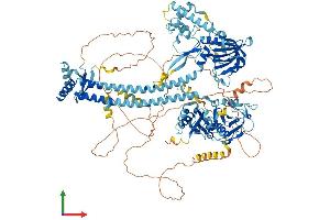Protein Structure (PS) image for serologically Defined Colon Cancer Antigen 1 (SDCCAG1) (AA 1-1076) protein (His tag) (ABIN7554724)