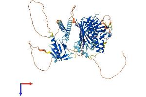 OSBPL10 Protein (AA 1-766) (His tag)