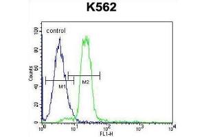 Flow Cytometry (FACS) image for anti-Hemoglobin, alpha 2 (HBa2) antibody (ABIN2932211) (HBa2 Antikörper)