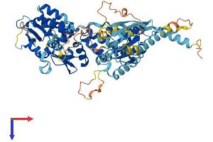 RHOBTB3 Protein (AA 1-611) (His tag)