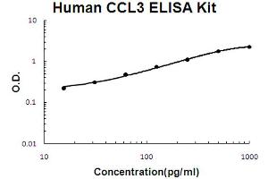 Human MIP-1 alpha Accusignal ELISA Kit Human MIP-1 alpha AccuSignal ELISA Kit standard curve.