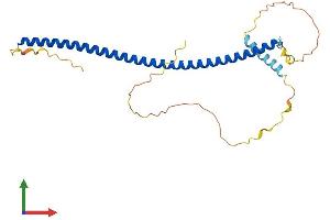 Protein Structure (PS) image for Protein Kinase C, delta Binding Protein (PRKCDBP) (AA 1-261) protein (His tag) (ABIN7550921)