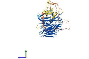 AlphaFold protein structure predicition of Mouse Recombinant Rag2 Protein, UniprotID P21784 (RAG2 Protein (AA 1-527) (His tag))