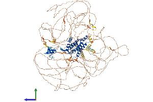 AlphaFold protein structure predicition of Mouse Recombinant Rusc2 Protein, UniprotID Q80U22
