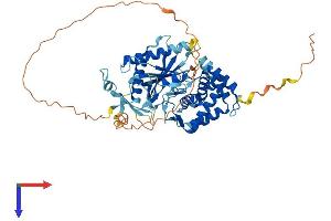 TMEM102 Protein (AA 1-508) (His tag)