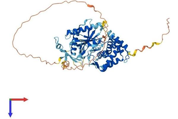 TMEM102 Protein (AA 1-508) (His tag)
