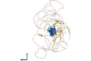 Protein Structure (PS) image for Insulin Receptor Substrate 4 (IRS4) (AA 1-1257) protein (His tag) (ABIN7554194)