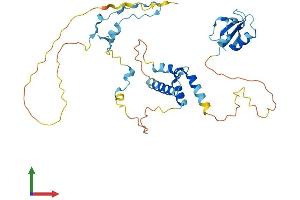 Protein Structure (PS) image for CD2 (Cytoplasmic Tail) Binding Protein 2 (CD2BP2) (AA 1-342) protein (His tag) (ABIN7560669)