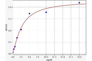 MAGEA3 ELISA Kit