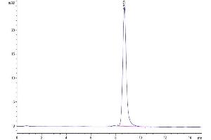 Size-exclusion chromatography-High Pressure Liquid Chromatography (SEC-HPLC) image for Proprotein Convertase Subtilisin/kexin Type 9 (PCSK9) (AA 151-811) protein (His tag) (ABIN7275414)