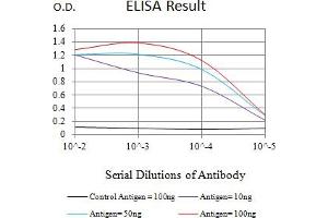 Black line: Control Antigen (100 ng),Purple line: Antigen (10 ng), Blue line: Antigen (50 ng), Red line:Antigen (100 ng) (PLA2G7 Antikörper  (AA 22-441))