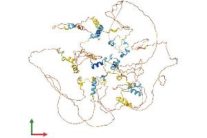 Protein Structure (PS) image for Eukaryotic Translation Initiation Factor 4E Nuclear Import Factor 1 (EIF4ENIF1) (AA 1-983) protein (His tag) (ABIN7565066)