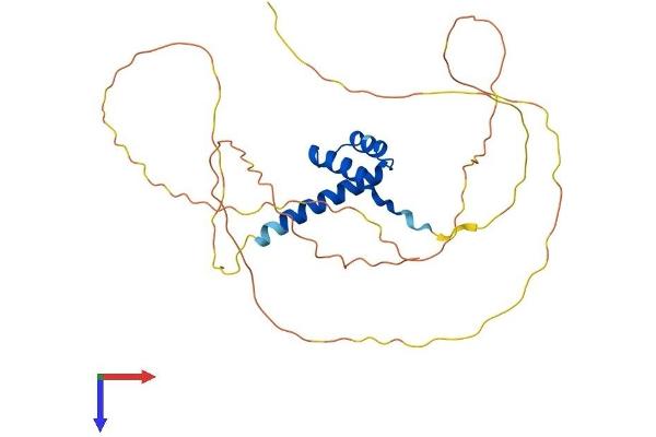 CRX Protein (AA 1-299) (His tag)