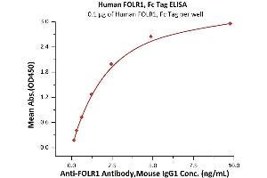 Immobilized Human FOLR1, Fc Tag (ABIN5954996,ABIN6253568) at 1 μg/mL (100 μL/well) can bind A Antibody, Mouse IgG1 with a linear range of 0.