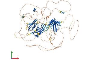 Protein Structure (PS) image for Anillin, Actin Binding Protein (ANLN) (AA 1-1124) protein (His tag) (ABIN7552249)