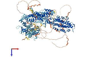 SOS2 Protein (AA 1-1333) (His tag)
