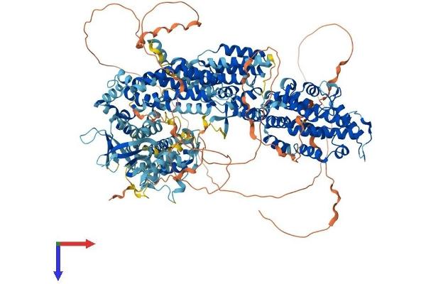 SOS2 Protein (AA 1-1333) (His tag)