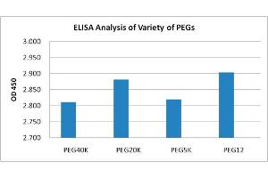 Detection of variety of PEGs using the PEG Antibody [Biotin], mAb, Mouse. (PEG Antikörper  (Biotin))