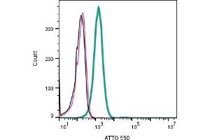 Cell surface detection of STIM1 in human Jurkat T-cell leukemia cells:___ Cells. (STIM1 Antikörper  (Extracellular) (Atto 550))