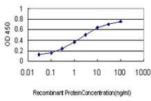 Detection limit for recombinant GST tagged CD99 is approximately 0. (CD99 Antikörper  (AA 23-122))