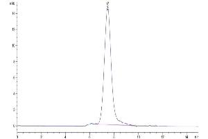 Size-exclusion chromatography-High Pressure Liquid Chromatography (SEC-HPLC) image for Hepatitis A Virus Cellular Receptor 1 (HAVCR1) (AA 21-295) protein (His tag) (ABIN7275734)