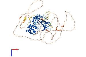 FRMD7 Protein (AA 1-703) (His tag)