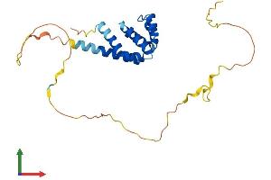 AlphaFold protein structure predicition of Human Recombinant BCL10 Protein, UniprotID O95999 (BCL10 Protein (AA 1-233) (His tag))